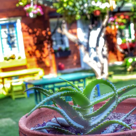 Готель Pirlanta Butik 3*