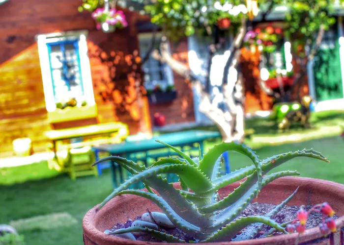 Готель Pirlanta Butik 3*